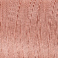 1019